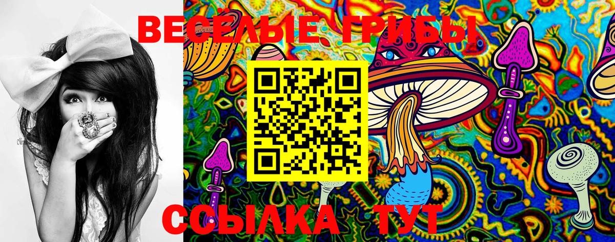 Галлюциногенные грибы MAGIC MUSHROOMS  Псилоцибиновые грибы мухоморы  Волоколамск  Вход с VPN 